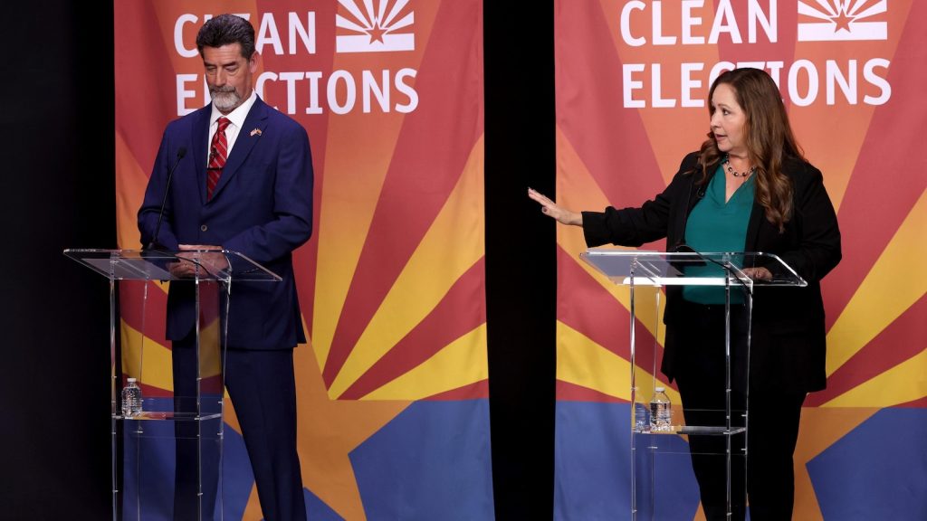 Southern Arizona voters to decide on Grijalva’s successor in US House race