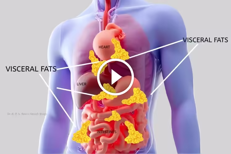 Understanding Visceral Fat: Its Risks And Management