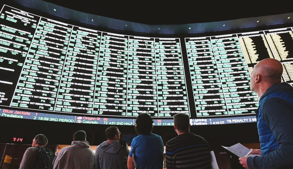 Odds for potential Cage Match between Elon Musk and Mark Zuckerberg