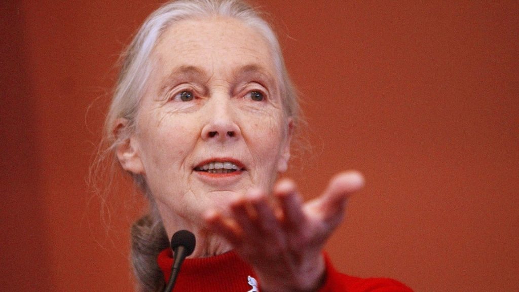 Noteworthy and influential people who’ve died this year